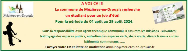 JOB ÉTUDIANT